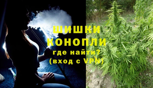 стаф Богородск