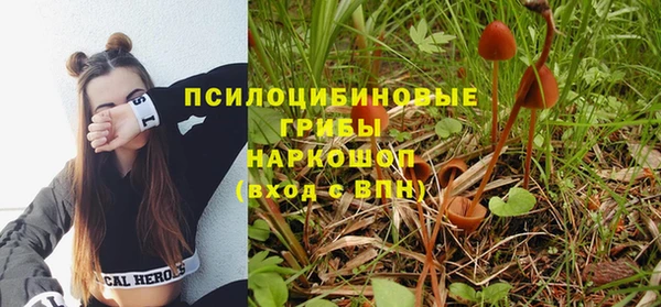 Альфа ПВП Бронницы