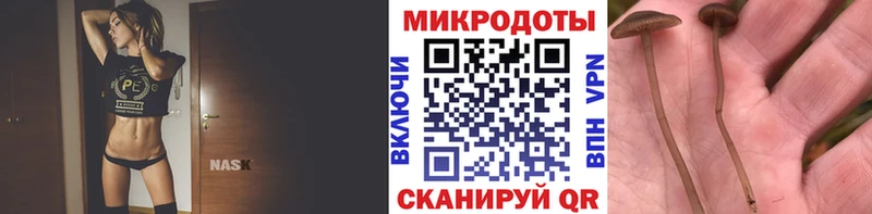 kraken зеркало  купить наркотики цена  Козловка  Галлюциногенные грибы Magic Shrooms 
